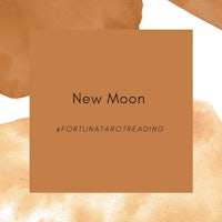 new moon fortuna tarot reading