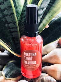 fortuna tarot reading